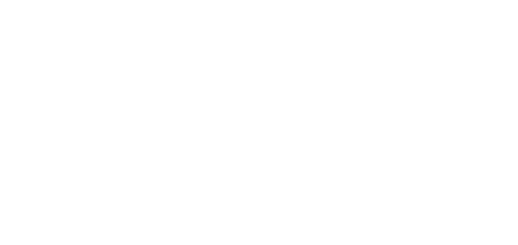 Snap Consulting
