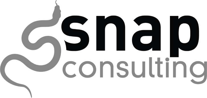 Snap Consulting